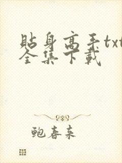 贴身高手txt全集下载