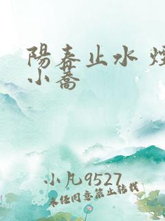 阳春止水 烟树小荞