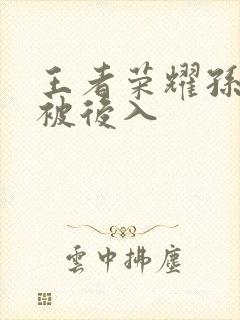 王者荣耀孙尚香被后入