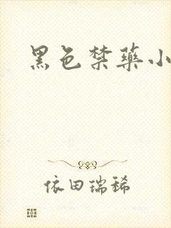 黑色禁药小说