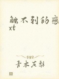 触不到的恋人txt