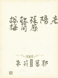 总政张阳老婆吕梅简历