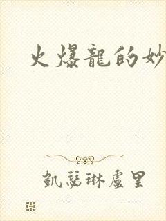 火爆龙的妙管家