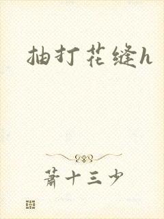 抽打花缝h
