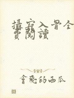 摄宠入骨全文免费阅读