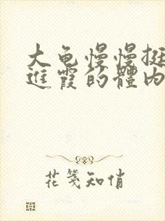 大龟慢慢挺进王进霞的体内