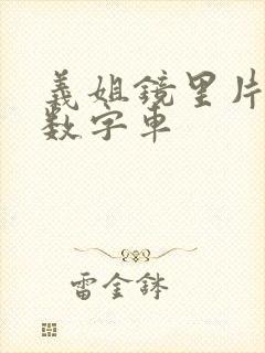 义姐镜里片微博数字车