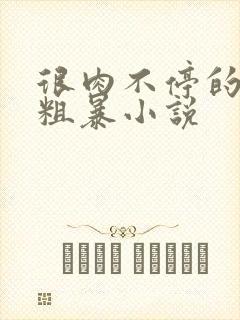 很肉不停的做很粗暴小说