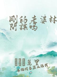 刚的老婆林彦是间谍吗