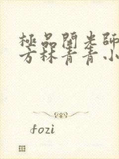 极品开光师李南方林青青小说免费阅读