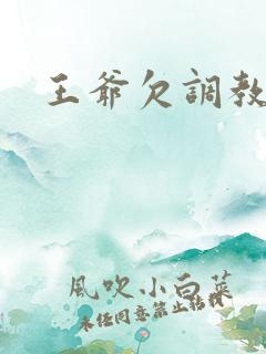 王爷欠调教