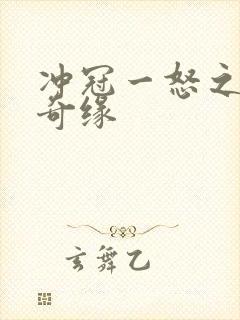 冲冠一怒之合租奇缘