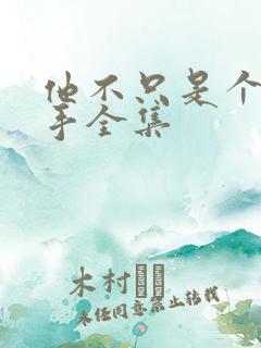 他不只是个狙击手全集