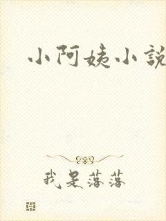 小阿姨小说