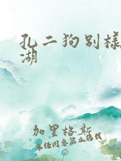 孔二狗别样的江湖