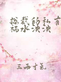 总裁的私有宝贝祸水泱泱