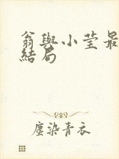 翁与小莹最新大结局