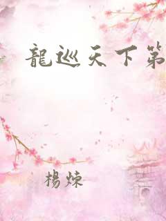 龙巡天下第四部