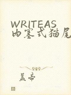 WRITEAS内塞式猫尾