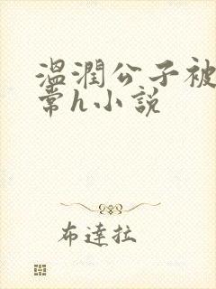 温润公子被脔日常h小说