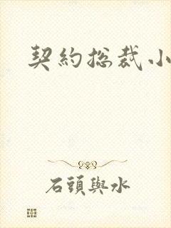 契约总裁小萌宝