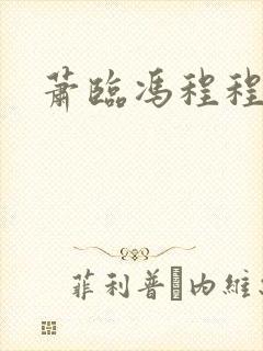 萧临冯程程小说