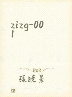 zizg-001