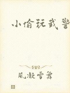 小偷玩武警上尉