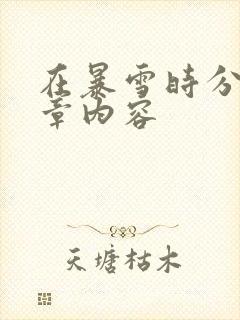 在暴雪时分54章内容