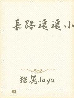 长路遥遥小说