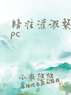 精准灌溉系统npc
