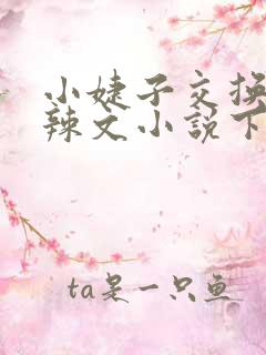 小婕子交换系列辣文小说下载