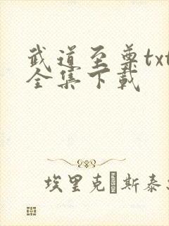 武道至尊txt全集下载