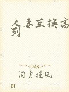人妻互换高h系列