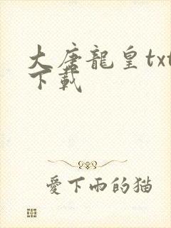 大唐龙皇txt下载