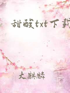 甜酸txt下载