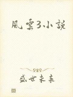风云3小说