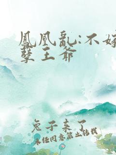 凤凰乱:不嫁妖孽王爷