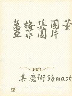 万格集团董事李亚菲图片