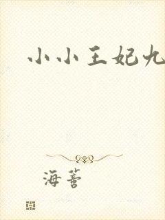 小小王妃九岁半