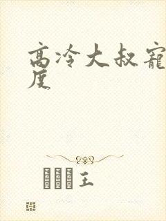 高冷大叔宠妻无度