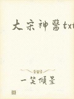 大宋神医txt