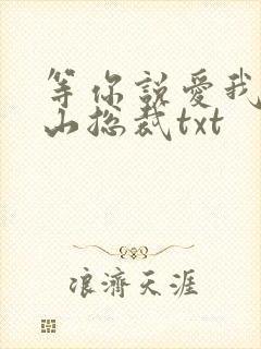 等你说爱我之冰山总裁txt