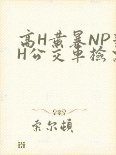 高H黄暴NP辣H公交车检票员