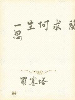 一生何求 兰思思