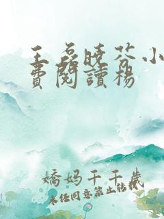 王磊晓芬小说免费阅读杨