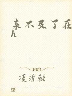 来不及了在车ch