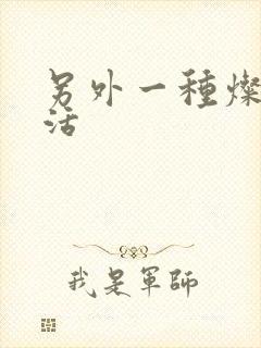 另外一种灿烂生活