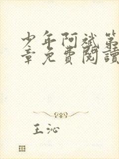 少年阿斌第13章免费阅读