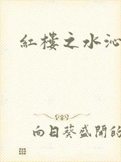 红楼之水沁黛心